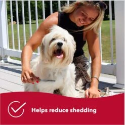 Safari Short Hair Shedding Dog Comb 11 Safari Short Hair Shedding Dog Comb -Pet Wellness 199949 PT5. AC SS1800 V1678125163