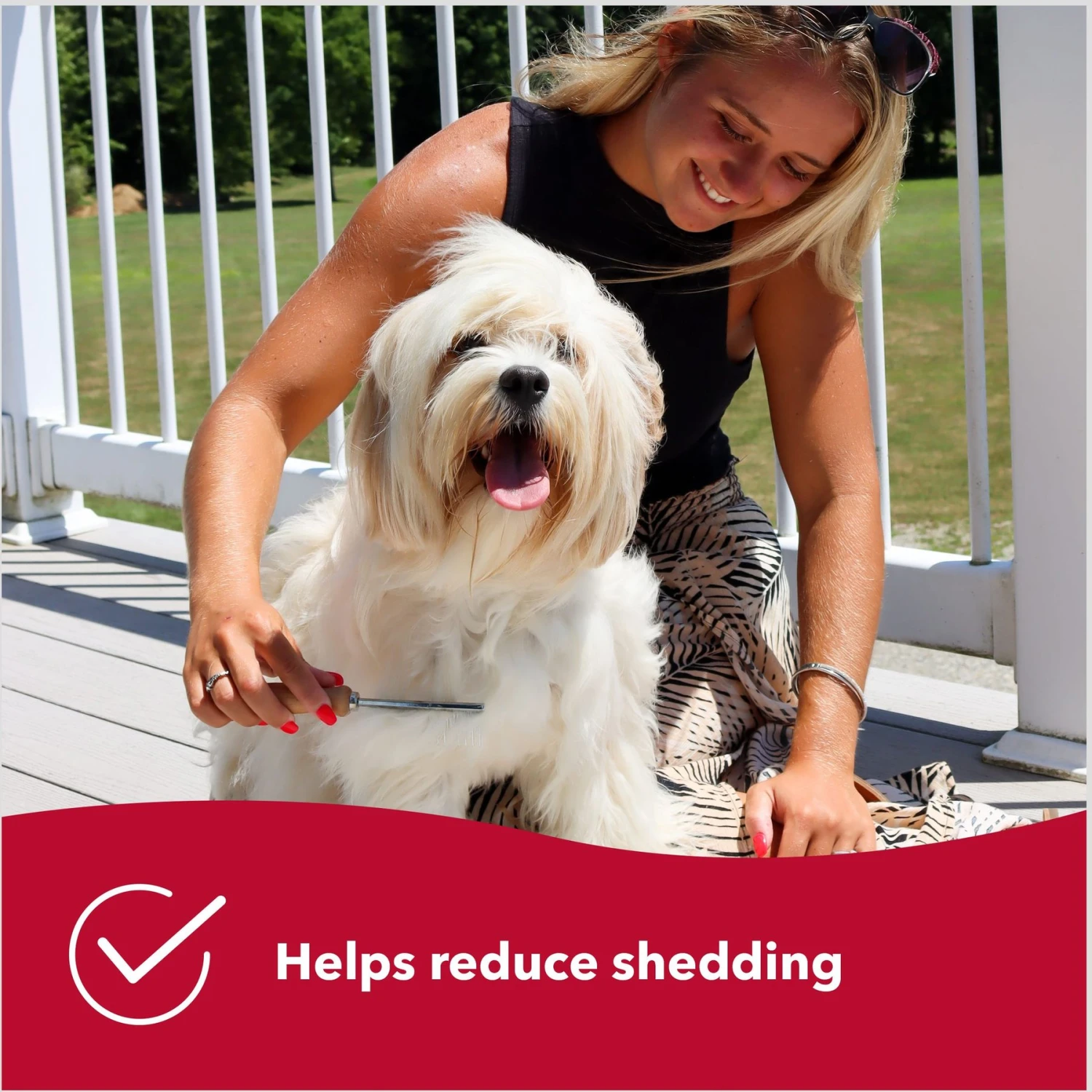 Safari Short Hair Shedding Dog Comb 5 Safari Short Hair Shedding Dog Comb - Image 5