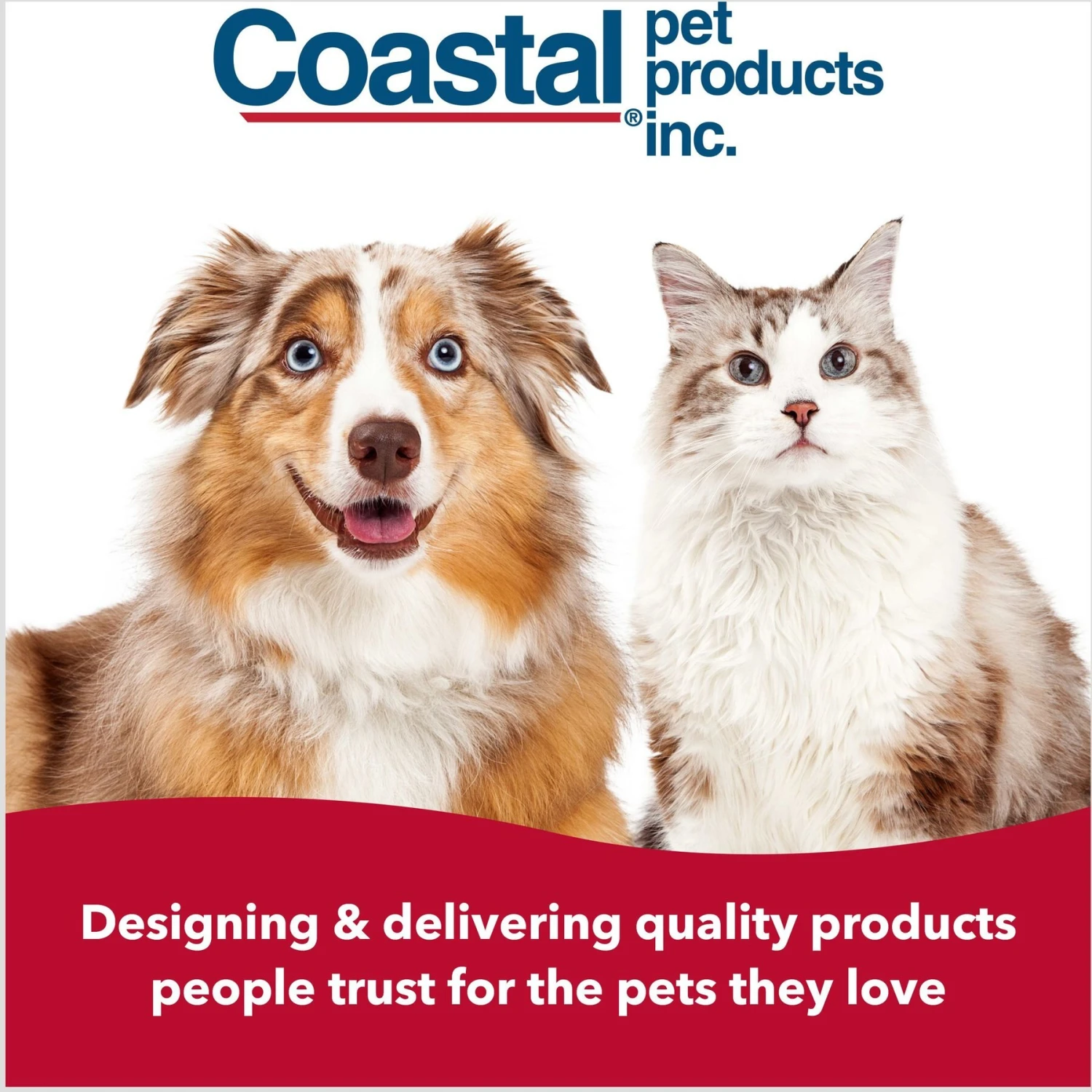 Safari Short Hair Shedding Dog Comb 7 Safari Short Hair Shedding Dog Comb - Image 7