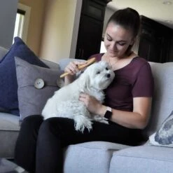 Safari Wire Pin Bamboo Handle Dog Brush -Pet Wellness 199956 PT2. AC SS1800 V1678112549