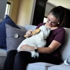 Safari Wire Pin Bamboo Handle Dog Brush -Pet Wellness 199956 PT3. AC SS1800 V1677959688