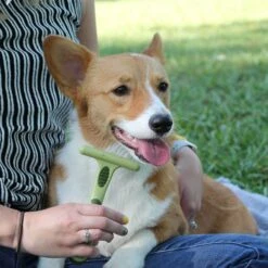 Safari Double Row Undercoat Rake Dog Grooming Tool 10 Safari Double Row Undercoat Rake Dog Grooming Tool -Pet Wellness 199958 PT3. AC SS1800 V1678112659