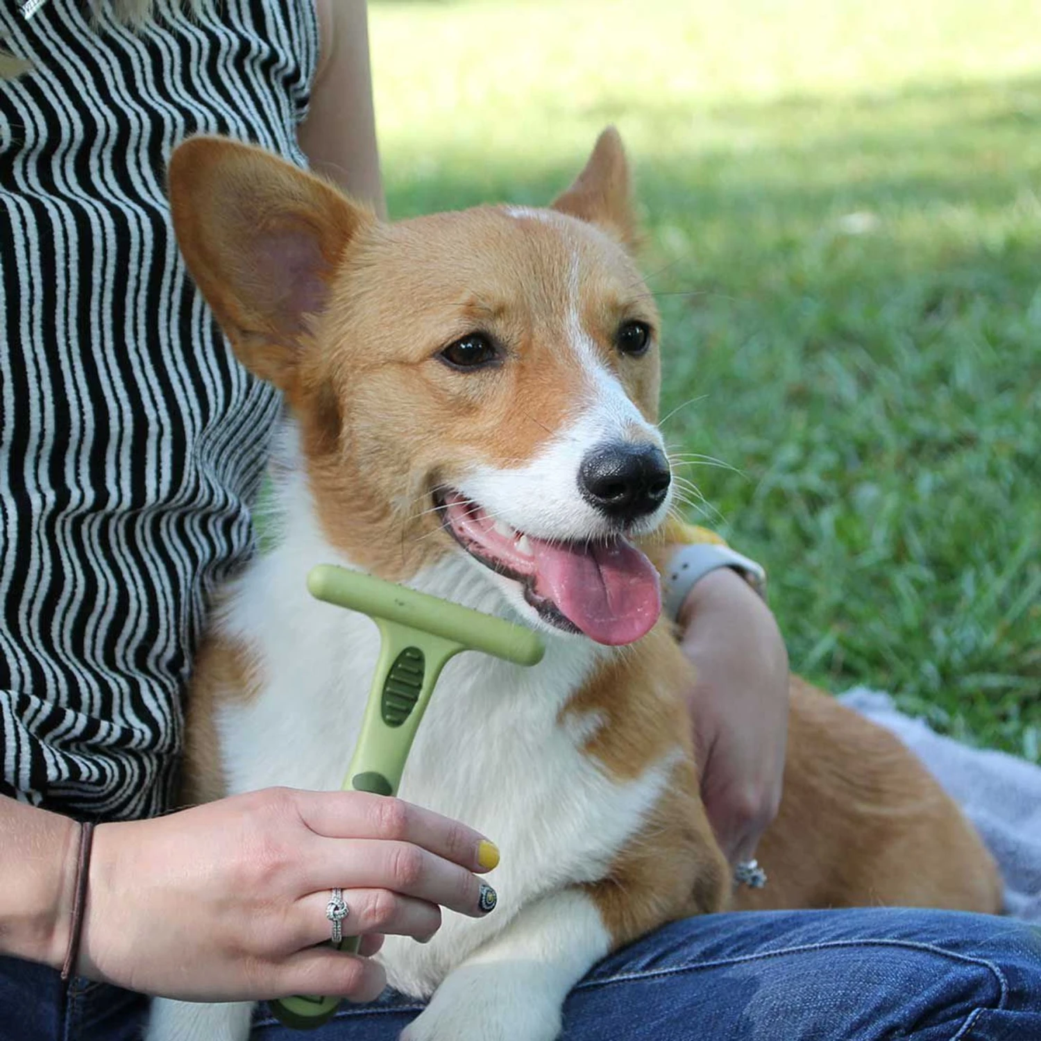 Safari Double Row Undercoat Rake Dog Grooming Tool 4 Safari Double Row Undercoat Rake Dog Grooming Tool - Image 4