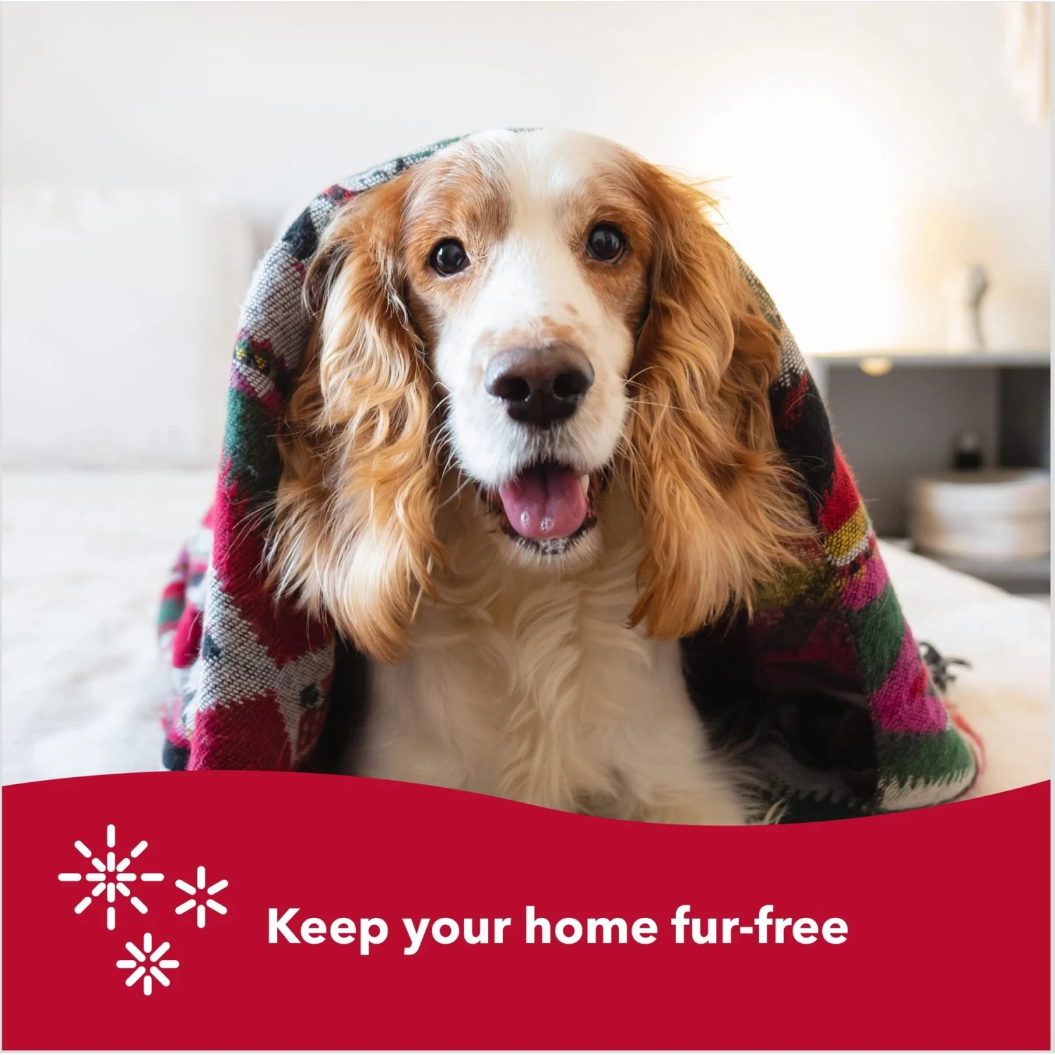 Safari Double Row Undercoat Rake Dog Grooming Tool 6 Safari Double Row Undercoat Rake Dog Grooming Tool - Image 6