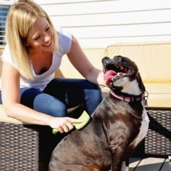 Safari Curved Firm Slicker Dog Brush -Pet Wellness 199967 PT2. AC SS1800 V1677958328