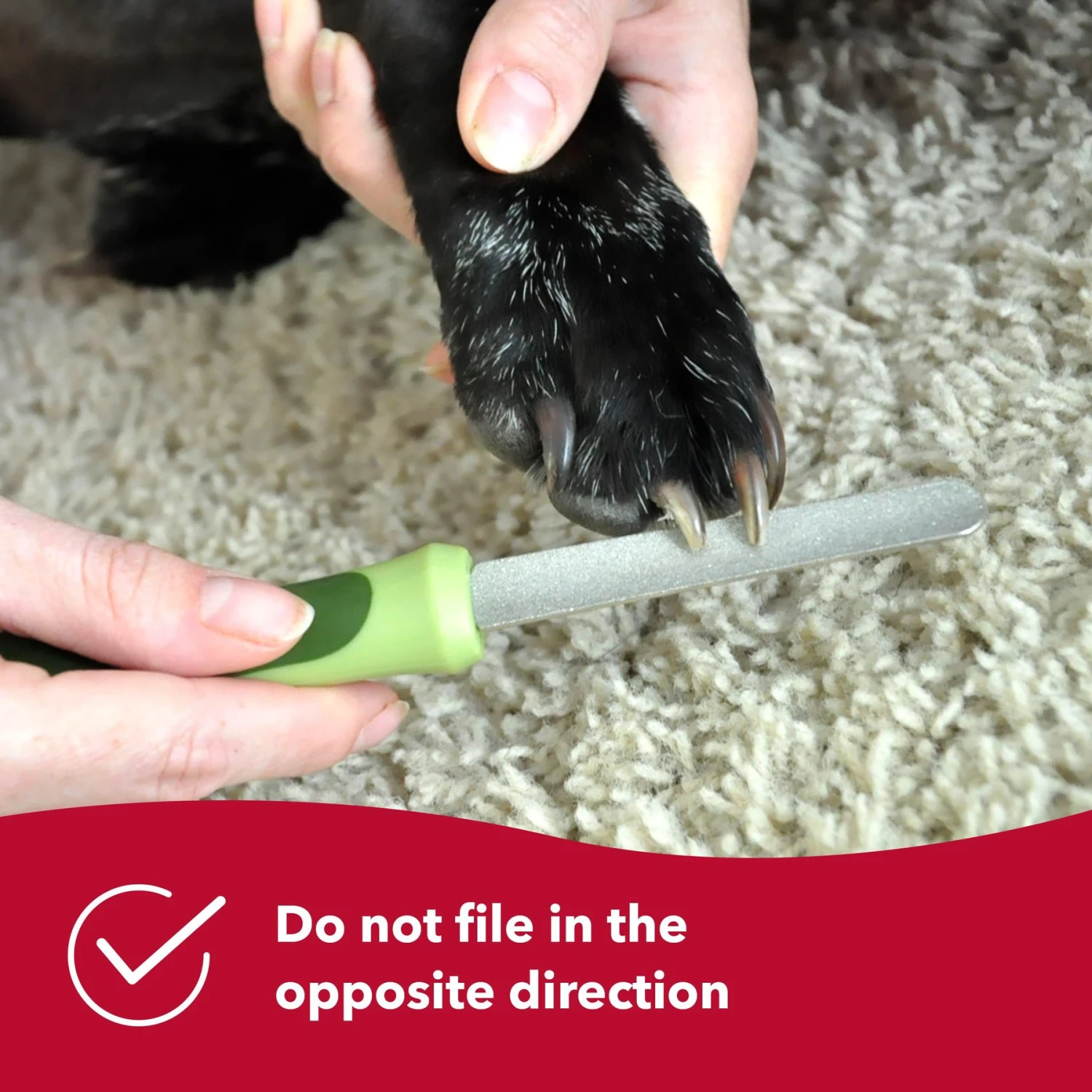 Safari Diamond Dog Nail File 7 Safari Diamond Dog Nail File - Image 7