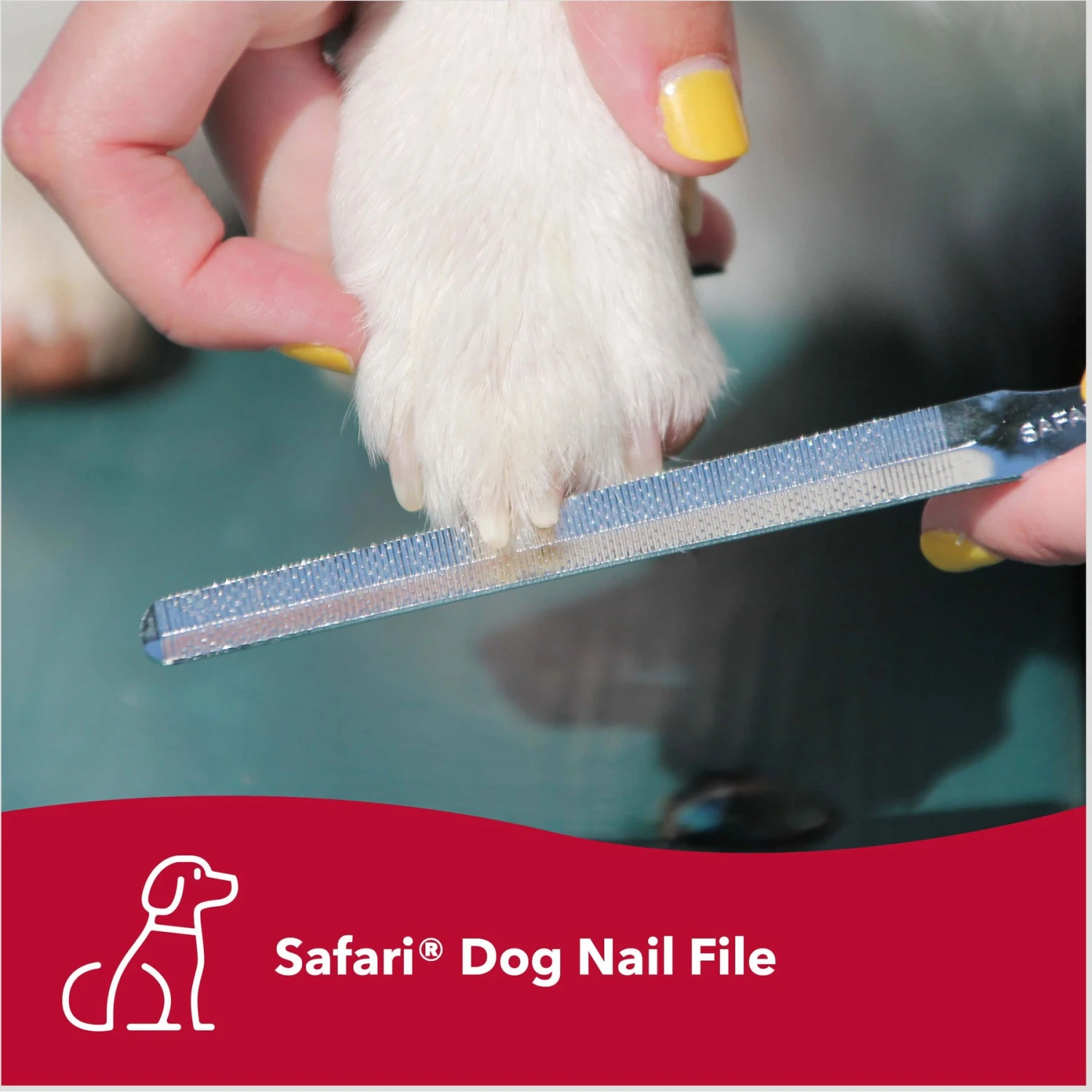 Safari Dog Nail File 3 Safari Dog Nail File - Image 3