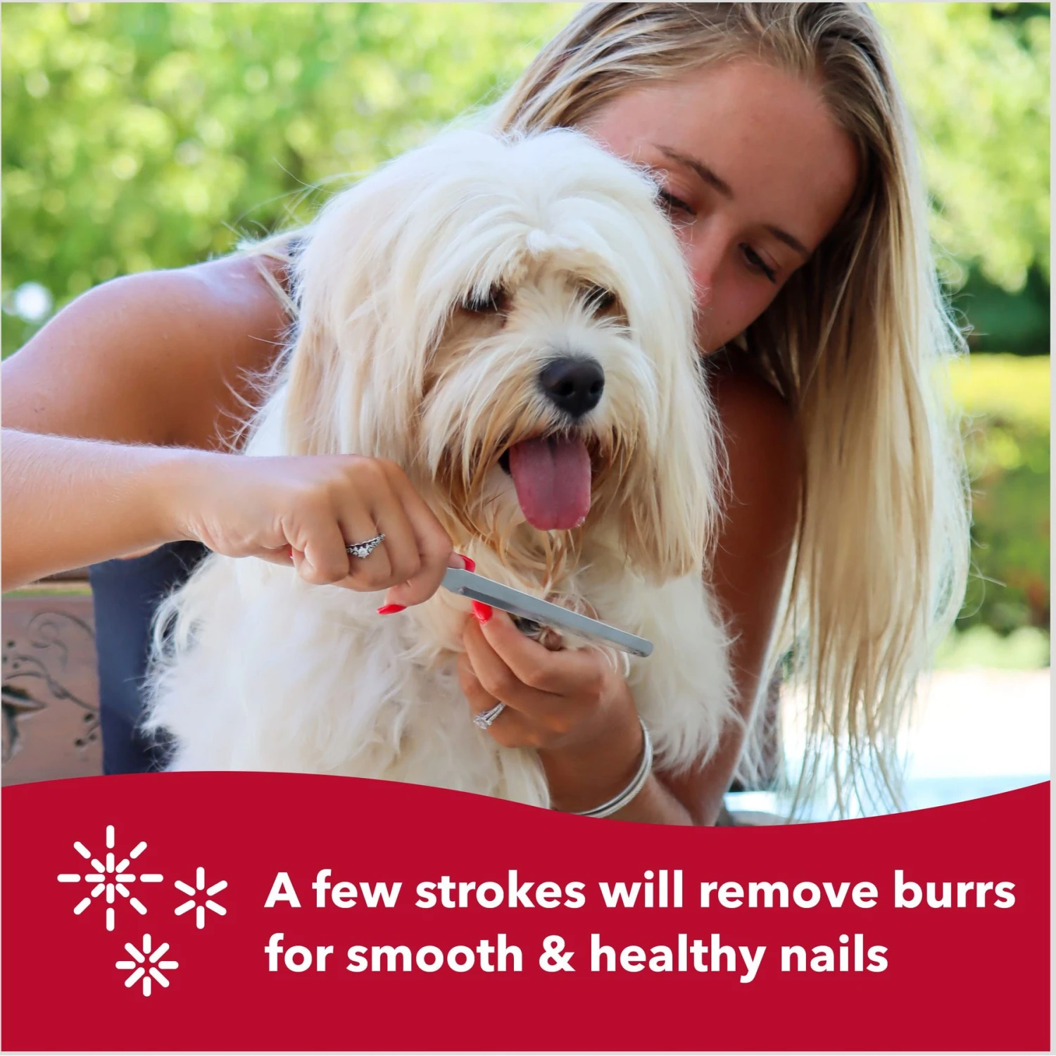 Safari Dog Nail File 7 Safari Dog Nail File - Image 7