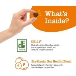 Zesty Paws Probiotic Bites Chicken Flavored Soft Chews Gut Flora & Digestive Supplement For Dogs -Pet Wellness 200081 PT2. AC SS1800 V1701932418