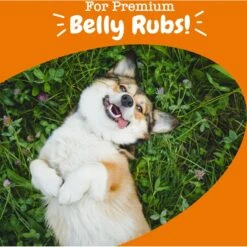 Zesty Paws Probiotic Bites Chicken Flavored Soft Chews Gut Flora & Digestive Supplement For Dogs -Pet Wellness 200081 PT3. AC SS1800 V1701932418