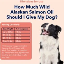 Vets Preferred Wild Alaskan Salmon Oil Dog Supplement, 15.5-oz Bottle 14 Vets Preferred Wild Alaskan Salmon Oil Dog Supplement, 15.5-oz Bottle -Pet Wellness 202511 PT5. AC SS1800 V1668617385