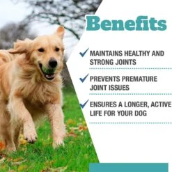 Vets Preferred Advanced Joint Support Adult Dog Supplement, 60 Count -Pet Wellness 202515 pt2. AC SS1800 V1569357743