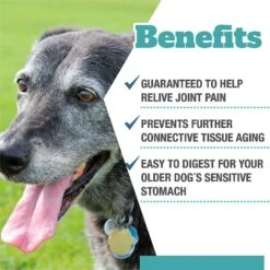 Vets Preferred Advanced Joint Support Senior Dog Supplement, 60 Count 7 Vets Preferred Advanced Joint Support Senior Dog Supplement, 60 Count -Pet Wellness 202517 pt2. AC SS1800 V1569357748
