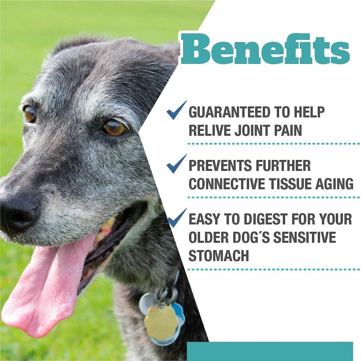Vets Preferred Advanced Joint Support Senior Dog Supplement, 60 Count 3 Vets Preferred Advanced Joint Support Senior Dog Supplement, 60 Count - Image 3