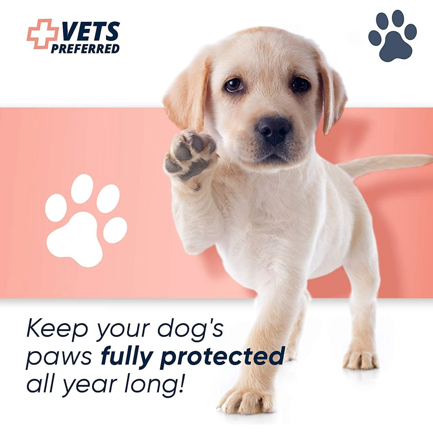 Vets Preferred Advanced Pad Protection Dog Paw Pad Wax, 2-oz Can 9 Vets Preferred Advanced Pad Protection Dog Paw Pad Wax, 2-oz Can - Image 9