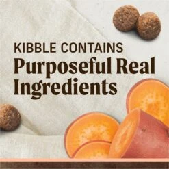 Merrick Limited Ingredient Diet Real Salmon & Brown Rice Recipe With Healthy Grains Dry Dog Food -Pet Wellness 203106 PT3. AC SS1800 V1631596880