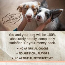 Merrick Limited Ingredient Diet Real Salmon & Brown Rice Recipe With Healthy Grains Dry Dog Food -Pet Wellness 203106 PT7. AC SS1800 V1631593604