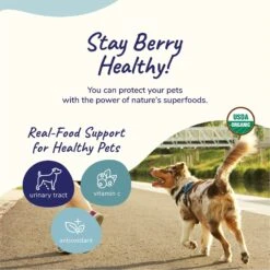 Kin+kind Organic Immunity Boost Dog & Cat Supplement -Pet Wellness 203617 PT3. AC SS1800 V1621033651