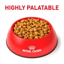 Royal Canin Veterinary Diet Adult Urinary SO Aging 7+ Dry Dog Food -Pet Wellness 204178 PT2. AC SS1800 V1692368270