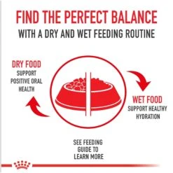 Royal Canin Veterinary Diet Adult Urinary SO Aging 7+ Dry Dog Food -Pet Wellness 204178 PT6. AC SS1800 V1692368269