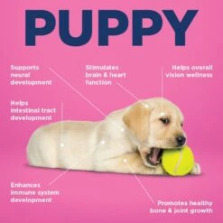 Vetericyn ALL-IN Life-Stage Puppy Dog Supplement, 90 Count 10 Vetericyn ALL-IN Life-Stage Puppy Dog Supplement, 90 Count -Pet Wellness 204888 PT4. AC SS1800 V1674156072