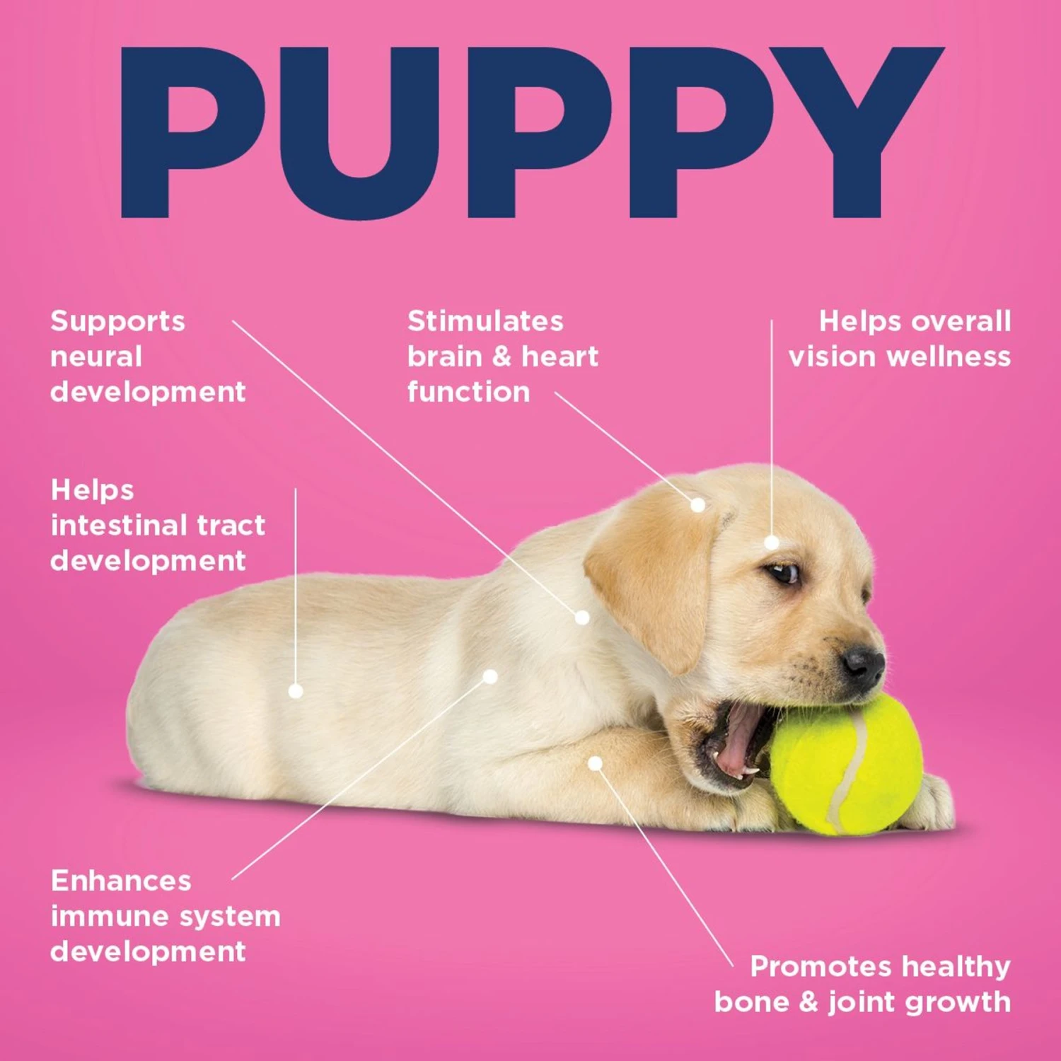 Vetericyn ALL-IN Life-Stage Puppy Dog Supplement, 90 Count 5 Vetericyn ALL-IN Life-Stage Puppy Dog Supplement, 90 Count - Image 5