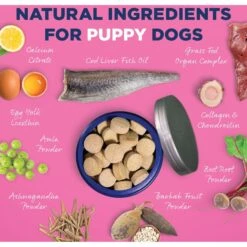 Vetericyn ALL-IN Life-Stage Puppy Dog Supplement, 90 Count 11 Vetericyn ALL-IN Life-Stage Puppy Dog Supplement, 90 Count -Pet Wellness 204888 PT5. AC SS1800 V1674151317