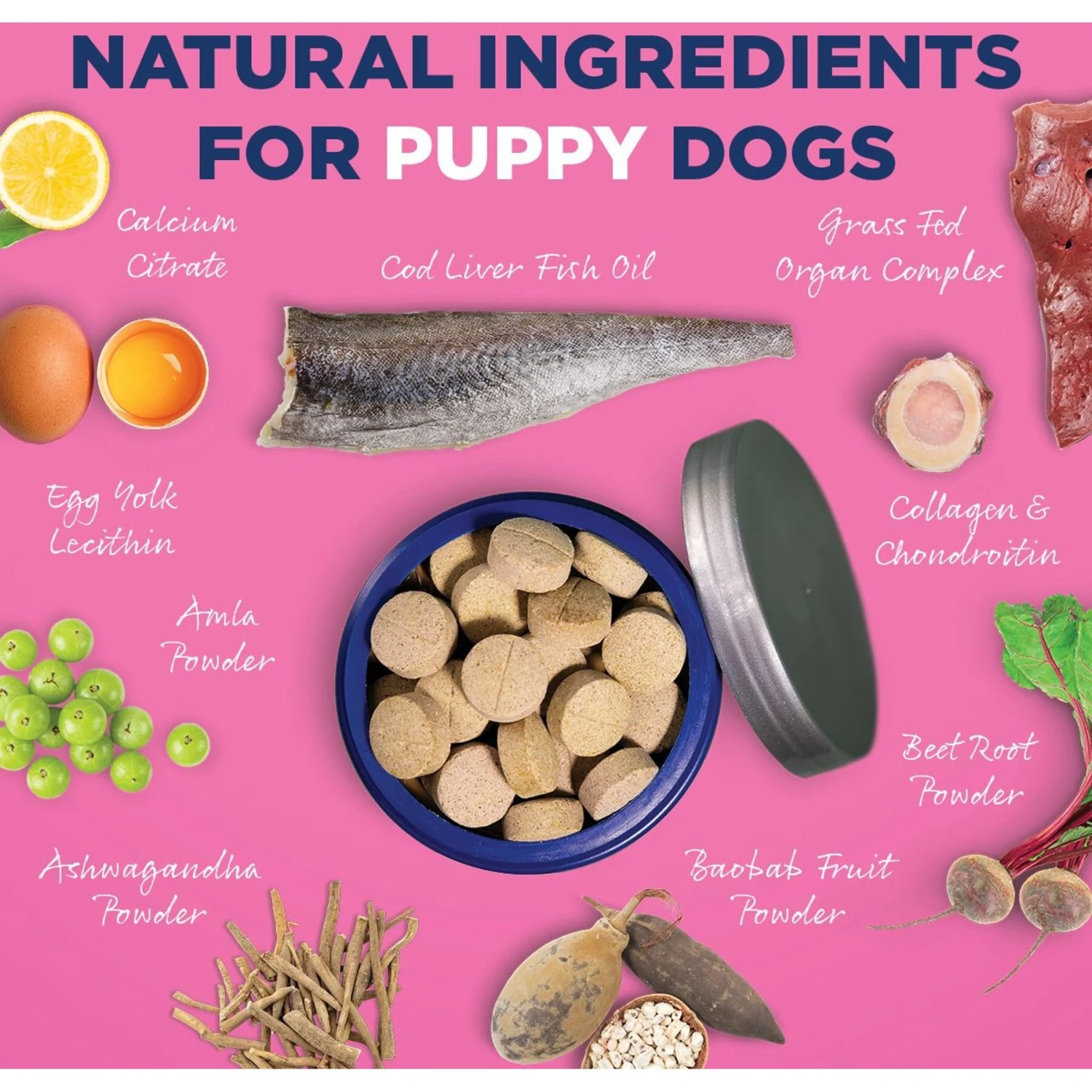 Vetericyn ALL-IN Life-Stage Puppy Dog Supplement, 90 Count 6 Vetericyn ALL-IN Life-Stage Puppy Dog Supplement, 90 Count - Image 6