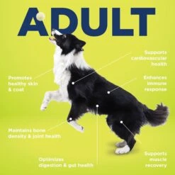 Vetericyn ALL-IN Life-Stage Adult Dog Supplement, 90 Count -Pet Wellness 204890 PT4. AC SS1800 V1674162815