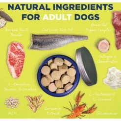 Vetericyn ALL-IN Life-Stage Adult Dog Supplement, 90 Count -Pet Wellness 204890 PT5. AC SS1800 V1674159923