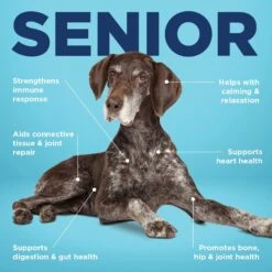 Vetericyn ALL-IN Life-Stage Senior Dog Supplement, 90 Count 10 Vetericyn ALL-IN Life-Stage Senior Dog Supplement, 90 Count -Pet Wellness 204892 PT4. AC SS1800 V1674151315