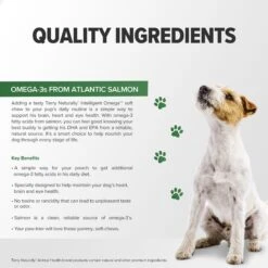 Terry Naturally Animal Health Intelligent Omega Dog Supplement, 60 Count 11 Terry Naturally Animal Health Intelligent Omega Dog Supplement, 60 Count -Pet Wellness 205089 PT4. AC SS1800 V1680103769