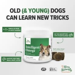 Terry Naturally Animal Health Intelligent Omega Dog Supplement, 60 Count 13 Terry Naturally Animal Health Intelligent Omega Dog Supplement, 60 Count -Pet Wellness 205089 PT6. AC SS1800 V1680102970