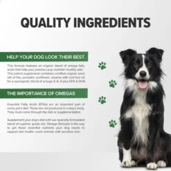 Terry Naturally Animal Health Omega Skincare Dog Supplement, 8-oz Bottle 12 Terry Naturally Animal Health Omega Skincare Dog Supplement, 8-oz Bottle -Pet Wellness 205093 PT5. AC SS1800 V1692299423