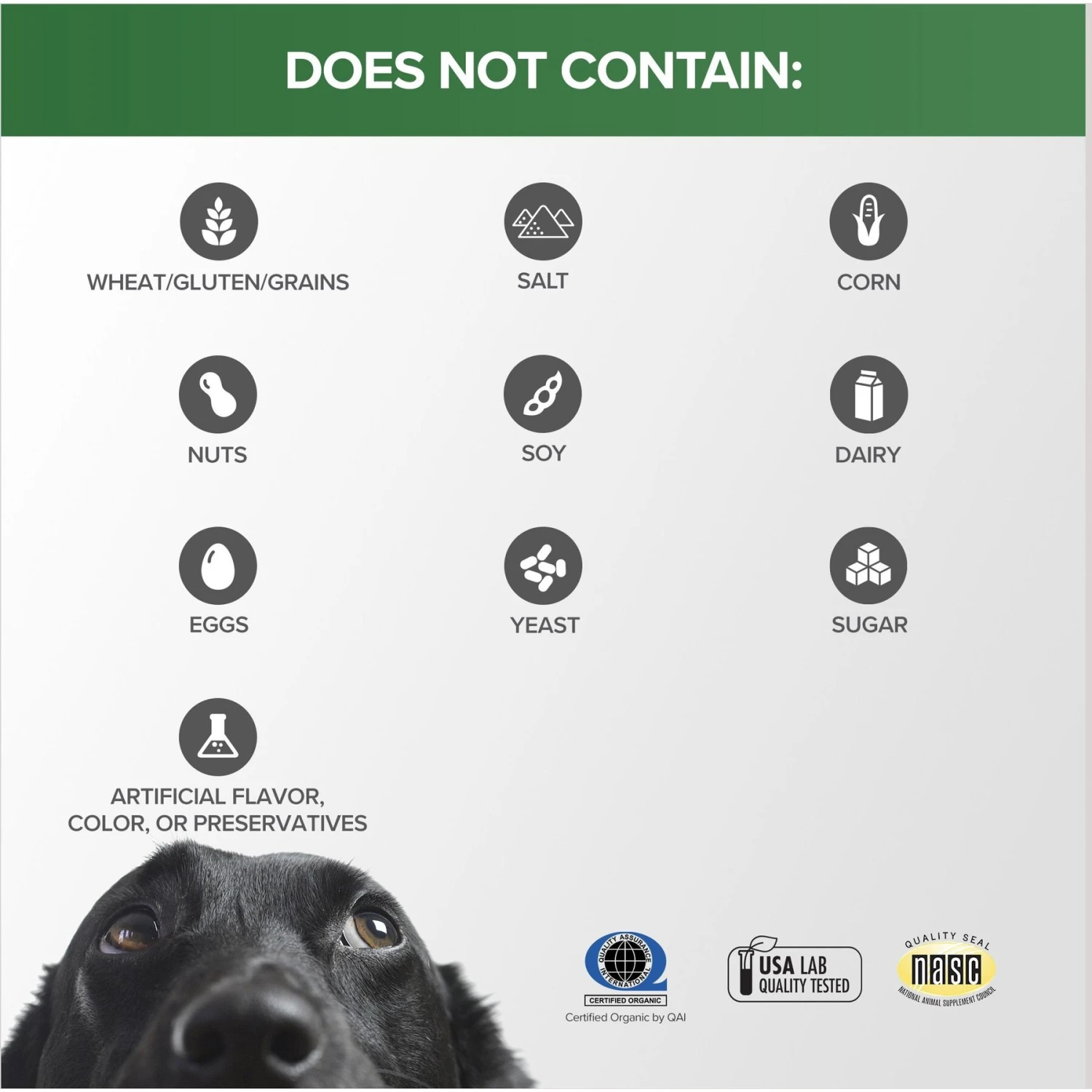 Terry Naturally Animal Health Omega Skincare Dog Supplement, 8-oz Bottle 7 Terry Naturally Animal Health Omega Skincare Dog Supplement, 8-oz Bottle - Image 7