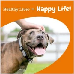 Zesty Paws Liver Support Bites Chicken Flavored Soft Chews Milk Thistle Supplement For Dogs 12 Zesty Paws Liver Support Bites Chicken Flavored Soft Chews Milk Thistle Supplement For Dogs -Pet Wellness 205855 PT3. AC SS1800 V1696601329