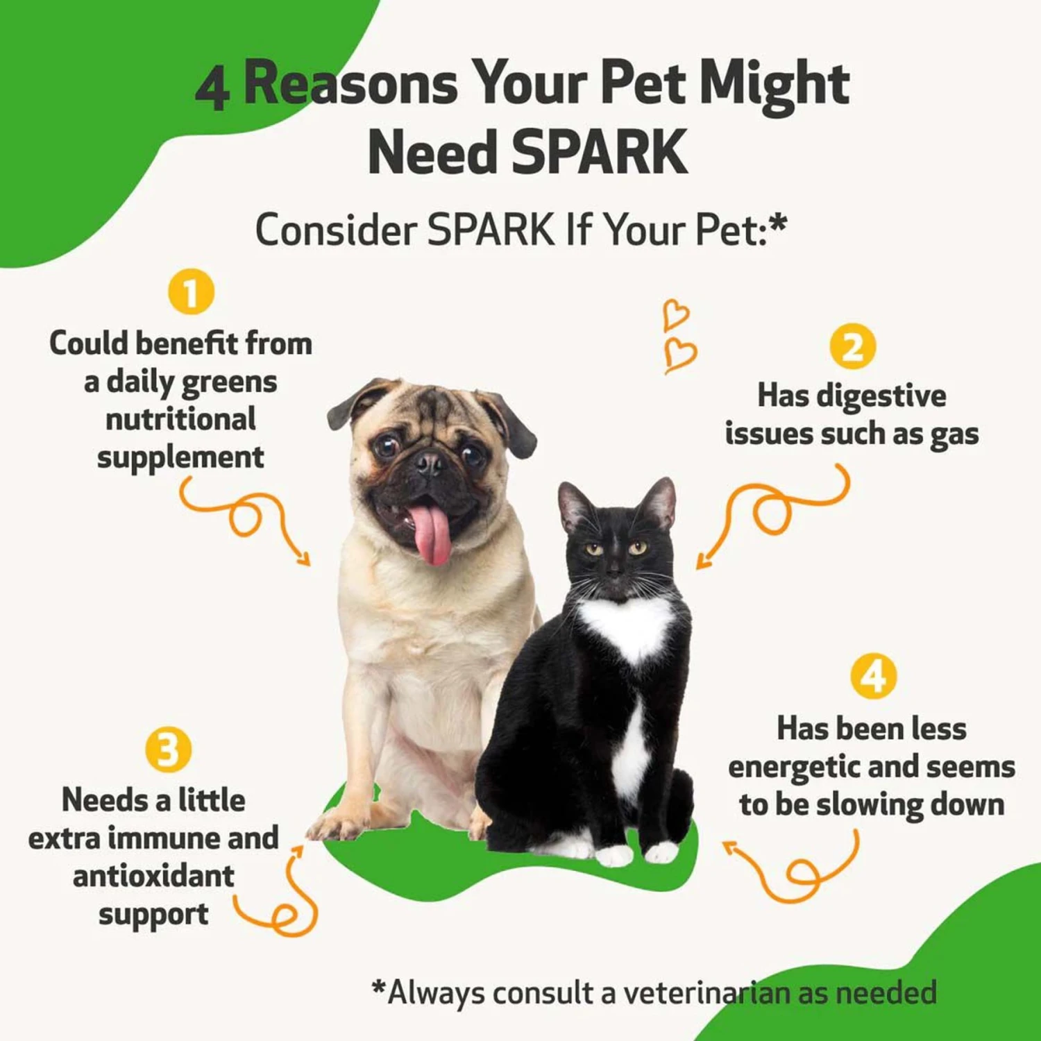 Pet Wellbeing SPARK Bacon Flavored Powder Multivitamin For Cats & Dogs 2 Pet Wellbeing SPARK Bacon Flavored Powder Multivitamin For Cats & Dogs - Image 2