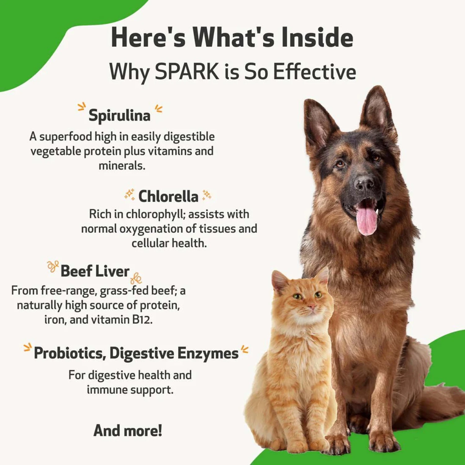 Pet Wellbeing SPARK Bacon Flavored Powder Multivitamin For Cats & Dogs 5 Pet Wellbeing SPARK Bacon Flavored Powder Multivitamin For Cats & Dogs - Image 5