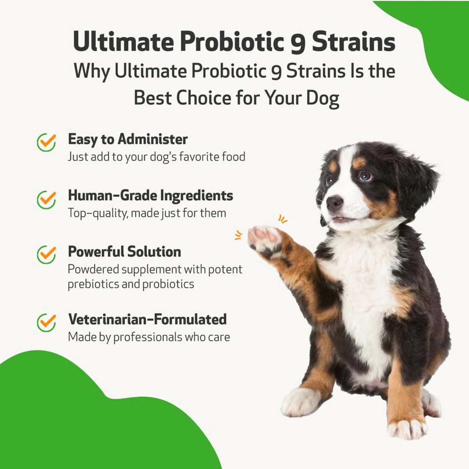 Pet Wellbeing Ultimate Probiotic Powder Digestive Supplement For Dogs 4 Pet Wellbeing Ultimate Probiotic Powder Digestive Supplement For Dogs - Image 4