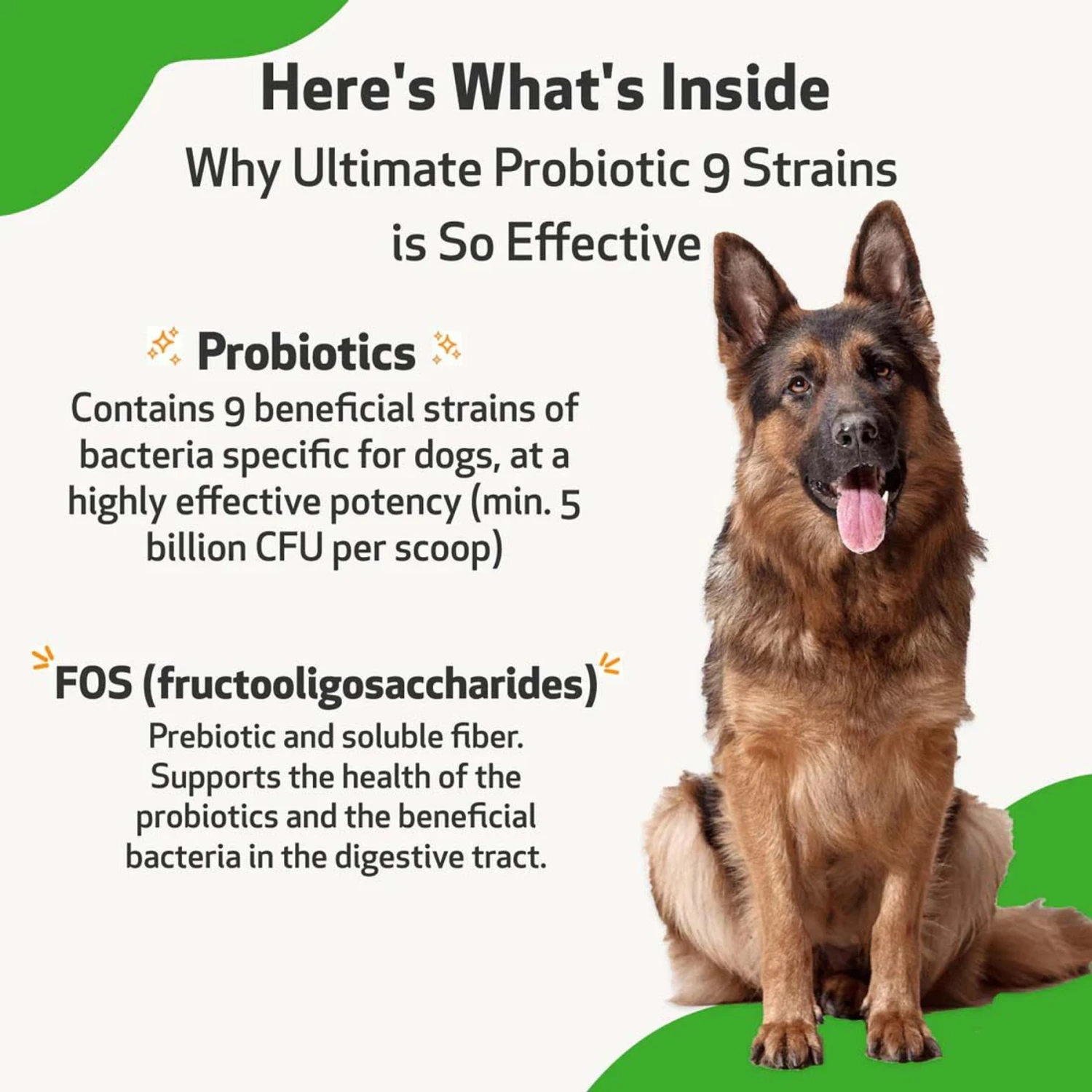 Pet Wellbeing Ultimate Probiotic Powder Digestive Supplement For Dogs 5 Pet Wellbeing Ultimate Probiotic Powder Digestive Supplement For Dogs - Image 5