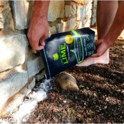 First Saturday Lime Monthly Pet Insect Repellent -Pet Wellness 206571 PT2. AC SS1800 V1572278357