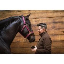 First Saturday Lime Monthly Pet Insect Repellent -Pet Wellness 206571 PT4. AC SS1800 V1572278364