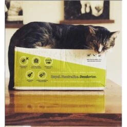 First Saturday Lime Monthly Pet Insect Repellent -Pet Wellness 206571 PT7. AC SS1800 V1572278298