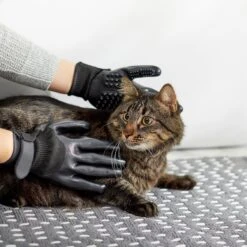Frisco Dog & Cat Deshedding & Grooming Gloves, Black -Pet Wellness 206843 PT6. AC SS1800 V1610768364