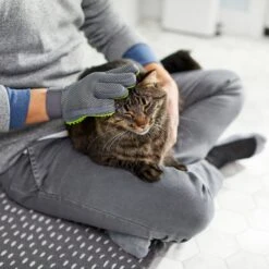 Frisco Dog & Cat Grooming Glove, Right Hand -Pet Wellness 206845 PT6. AC SS1800 V1610762805