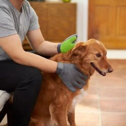 Frisco Dog & Cat Adjustable Grooming Gloves -Pet Wellness 206847 PT5. AC SS1800 V1610763673