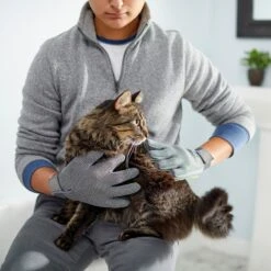 Frisco Dog & Cat Adjustable Grooming Gloves -Pet Wellness 206847 PT6. AC SS1800 V1610768190