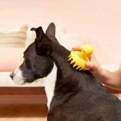 Frisco Rubber Duckie Dog & Cat Curry Brush -Pet Wellness 206849 PT7. AC SS1800 V1600915945