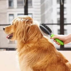 Frisco Cat & Dog Pin Bristle Brush -Pet Wellness 206855 PT6. AC SS1800 V1680186157