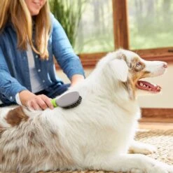 Frisco Cat & Dog Bristle Brush -Pet Wellness 206859 PT5. AC SS1800 V1680186099